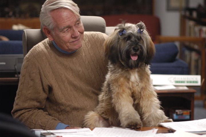 Older man in tan sweater with sable Tibetan Terrier