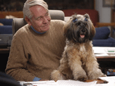 Older man in tan sweater with sable Tibetan Terrier