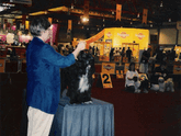 Lori Toth with a mostly black Tibetan Terrier standing on a podium for show at the World Dog Show in Portugal, 2001